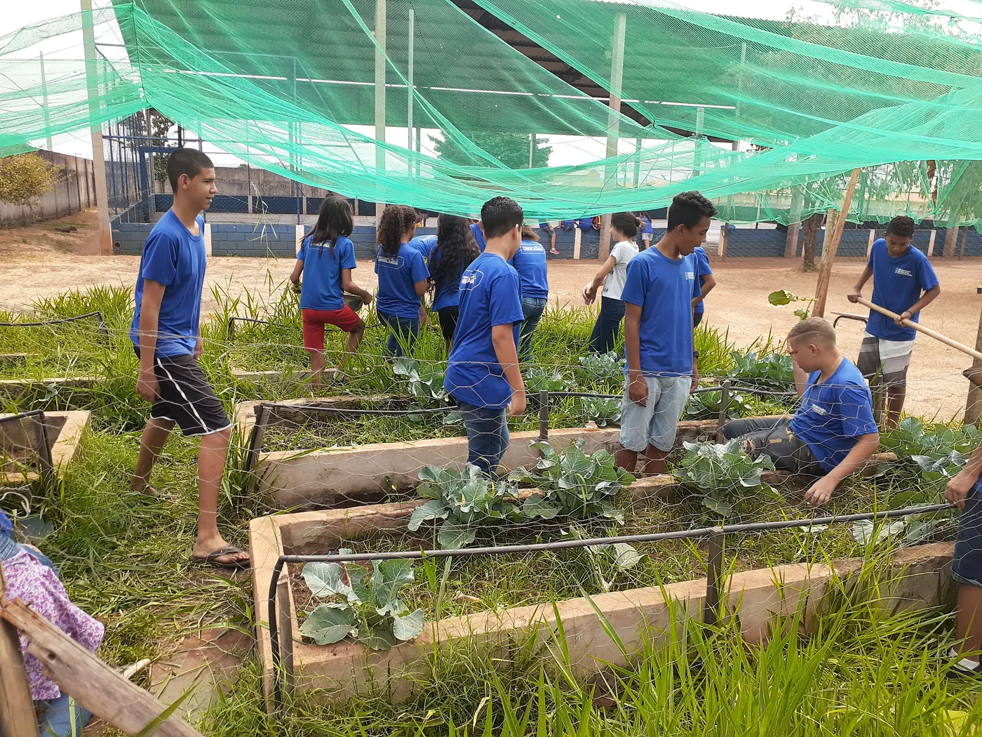 Visita à horta - Módulo Paisagismo e Consciência Ambiental